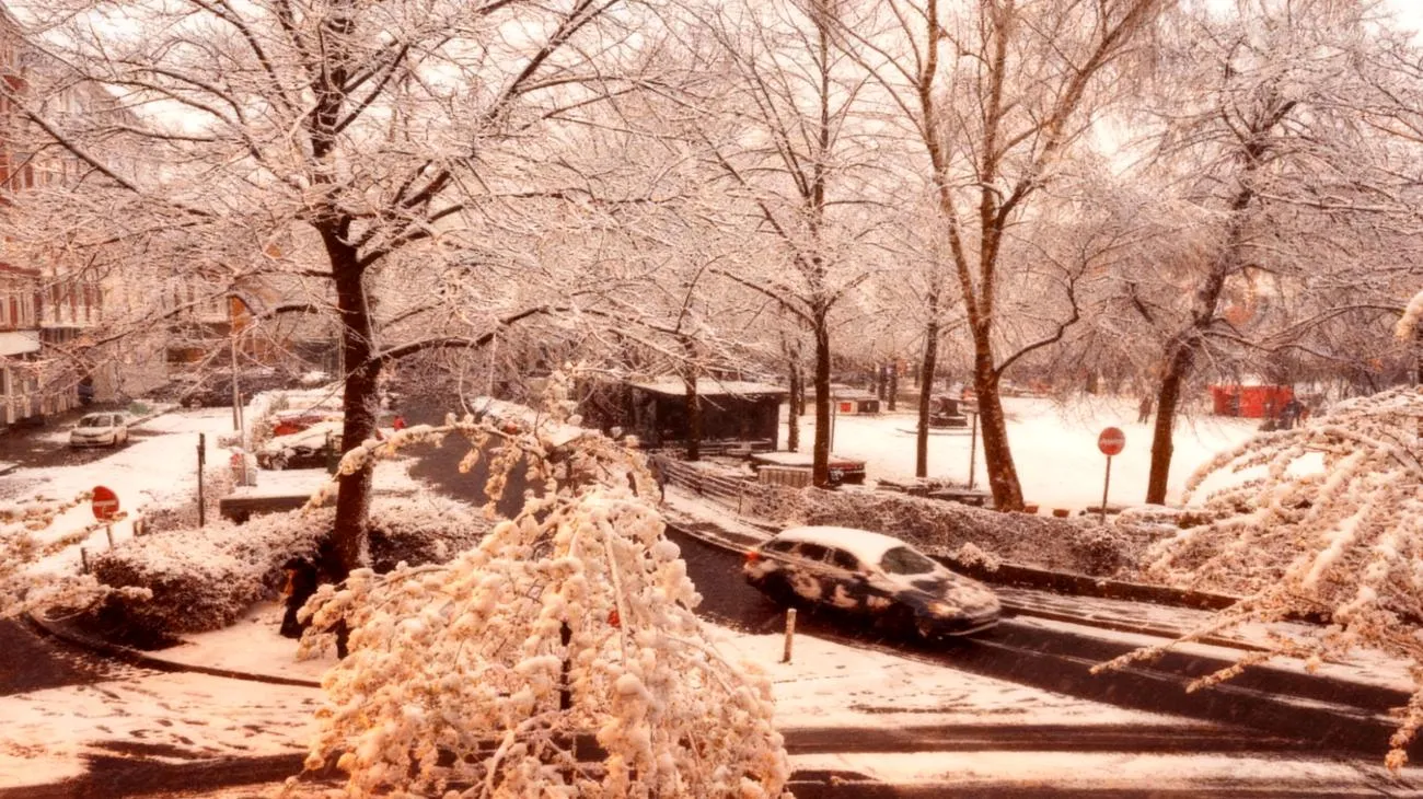 So erkennst du den echten Wintereinbruch 3 Tage bevor er deine Stadt erreicht 2025-11-07T11:41:08.973Z"